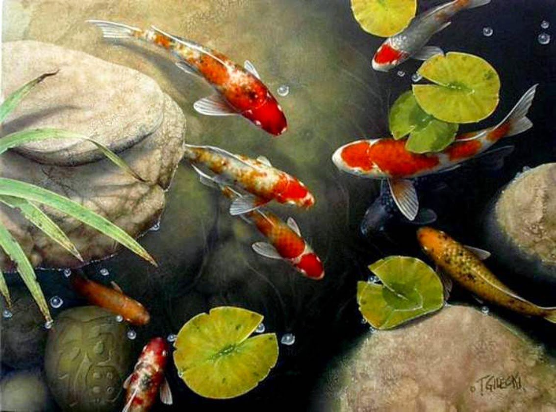 Карпы кои Хаяо Миядзаки