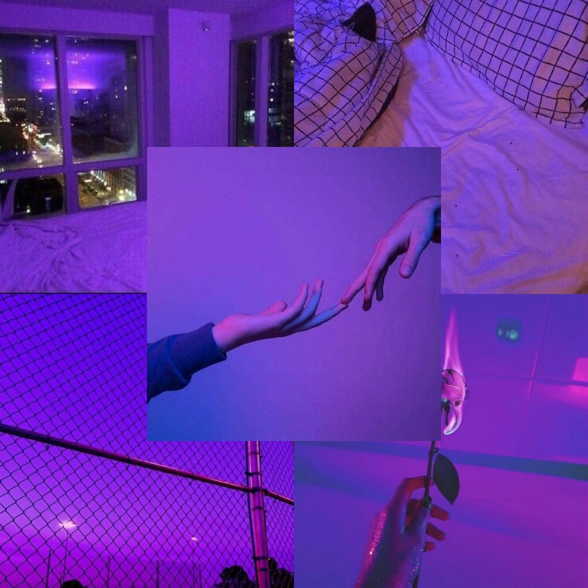 Фиолетовые пикчи для эстетики