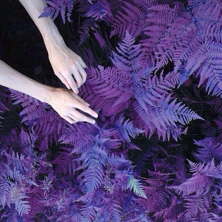 Фиолетовые предметы Эстетика