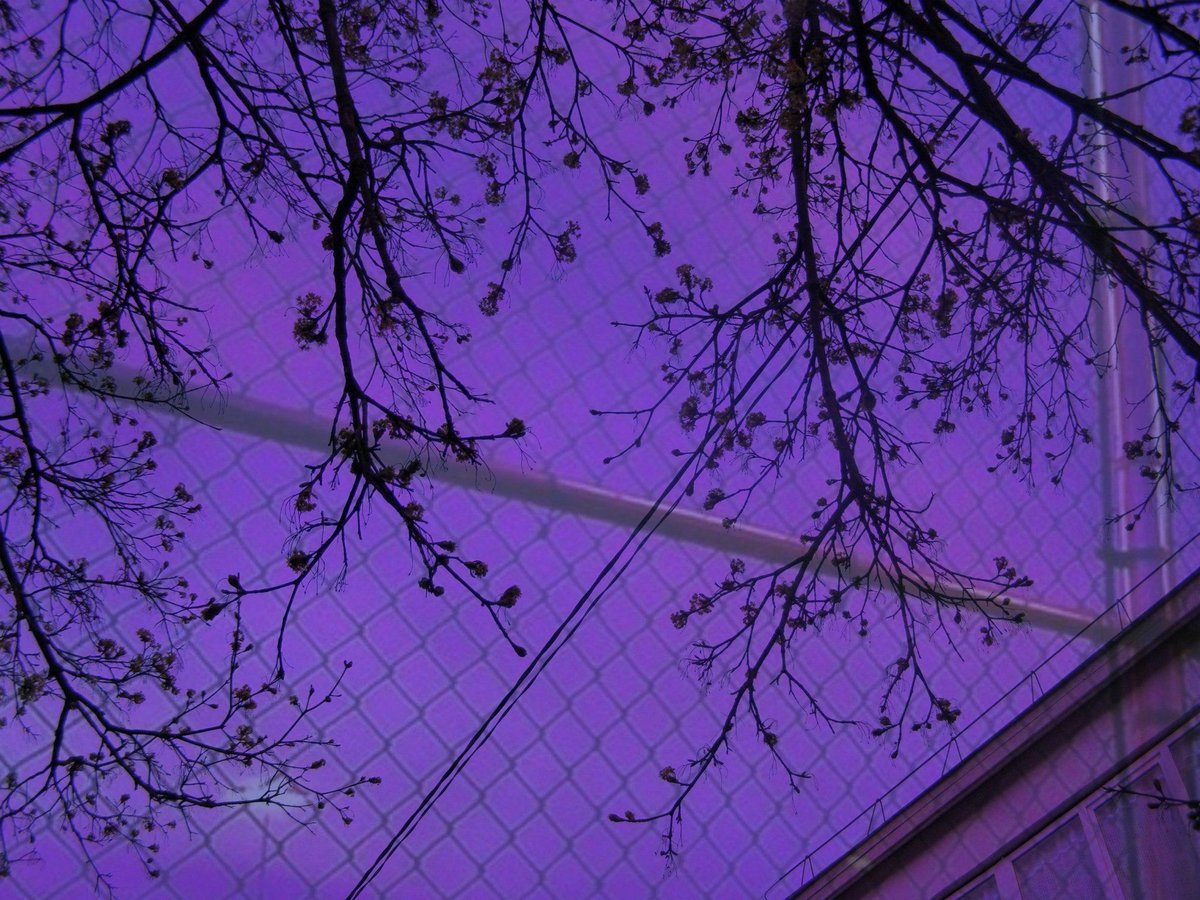 Фиолетовый для эстетики