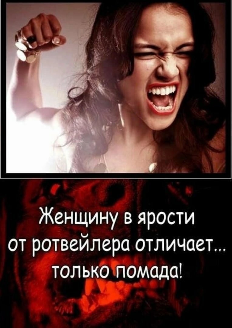 У каждого мужика есть свой Хатико