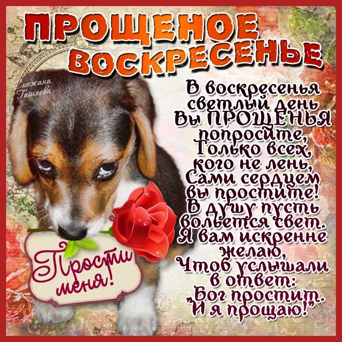 Прости меня и я прощаю