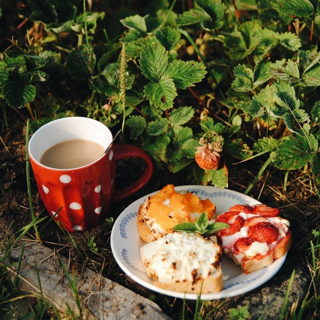 Завтрак на снегу