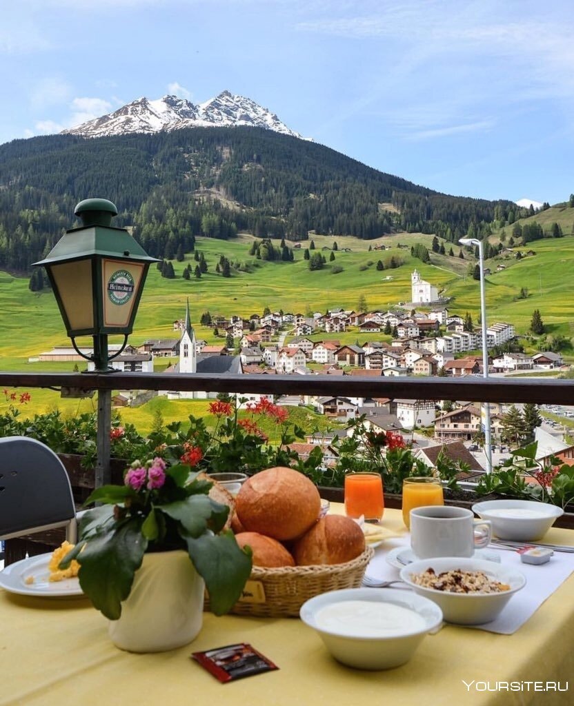 Обед на природе