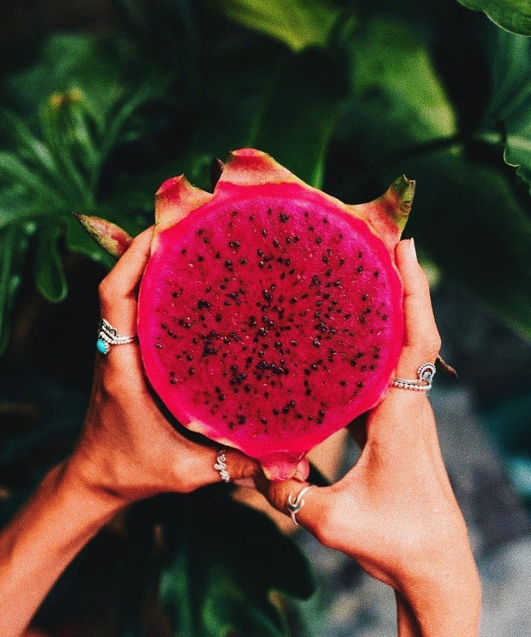 Драконий плод питайя