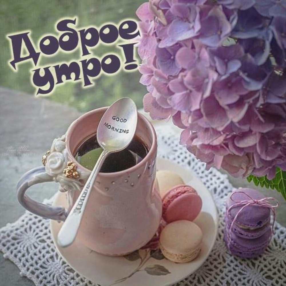 Доброе утро подруга