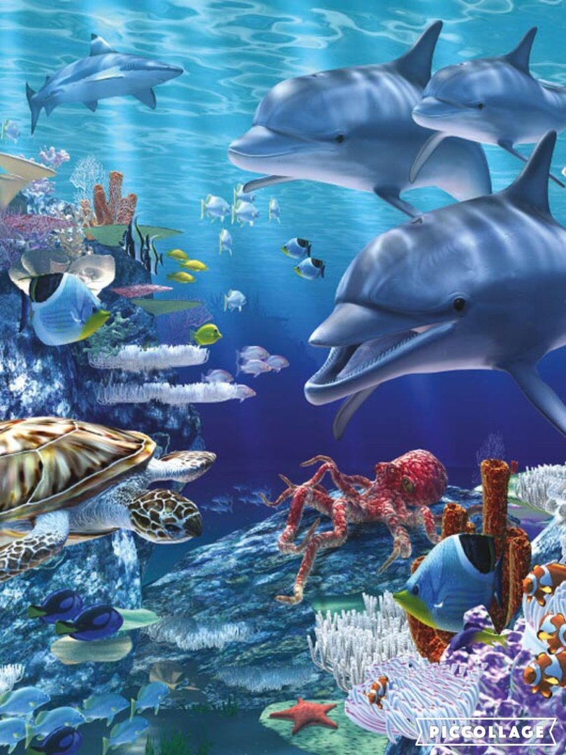 Морские обитатели дельфины