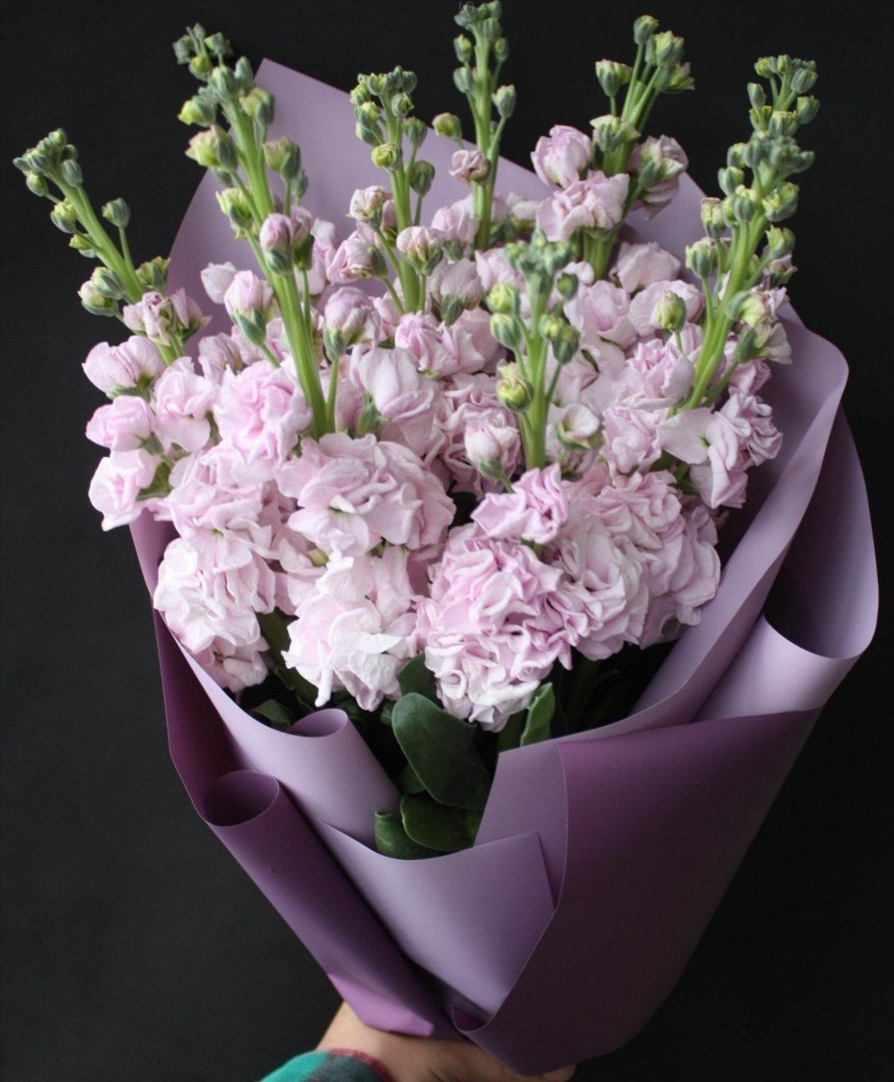 Маттиола Синдерелла микс