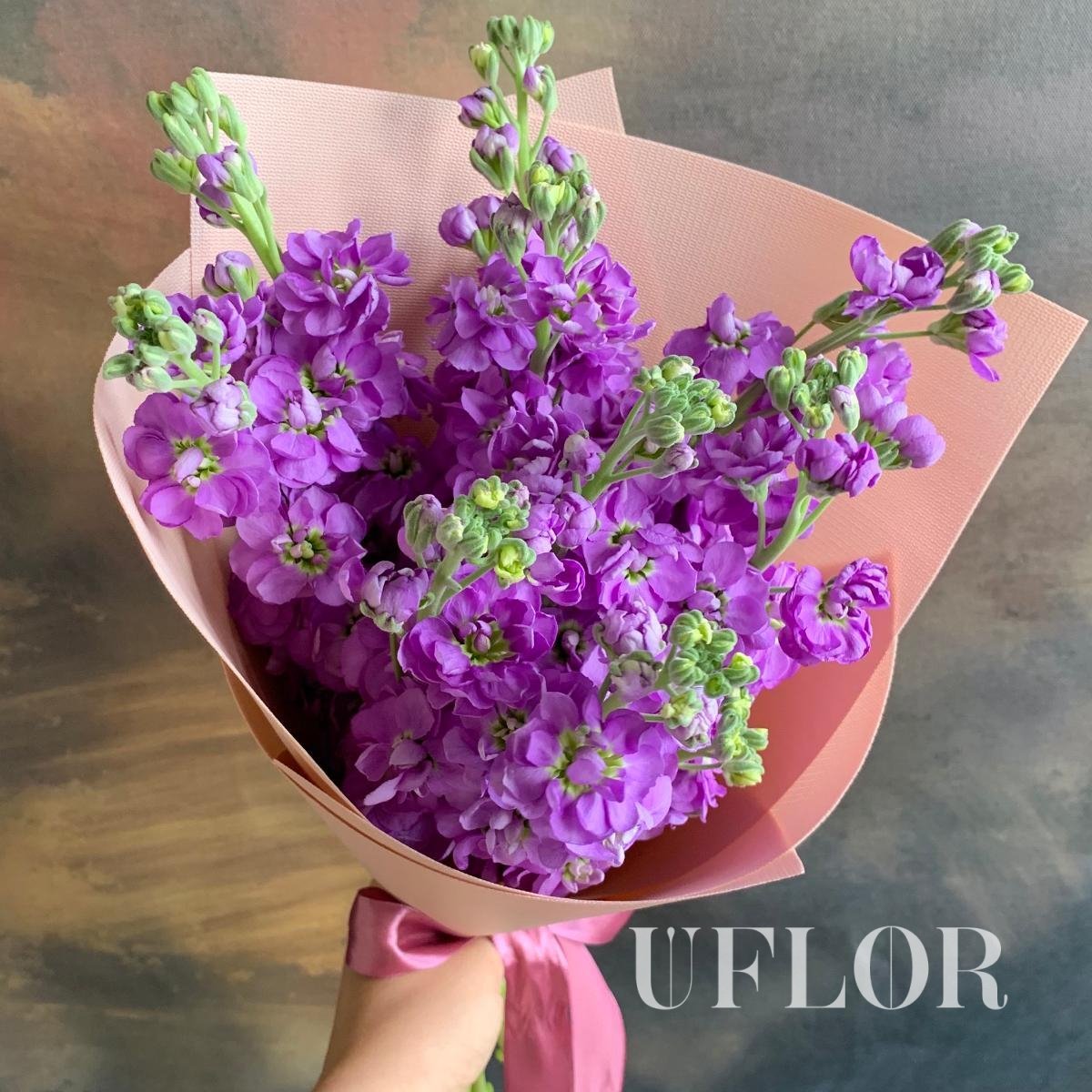 Маттиола цветы букет