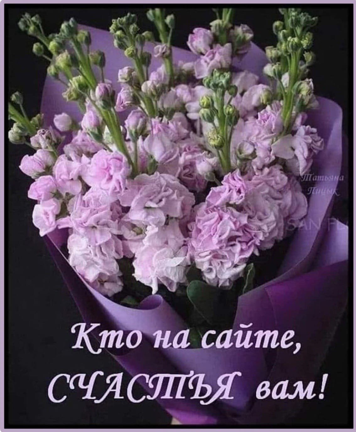 Маттиола Айрон Пурпл