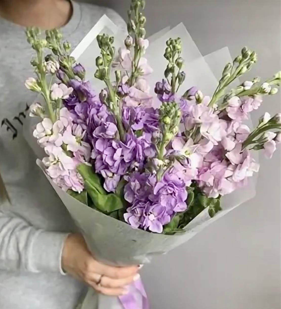 Маттиола одноголовая