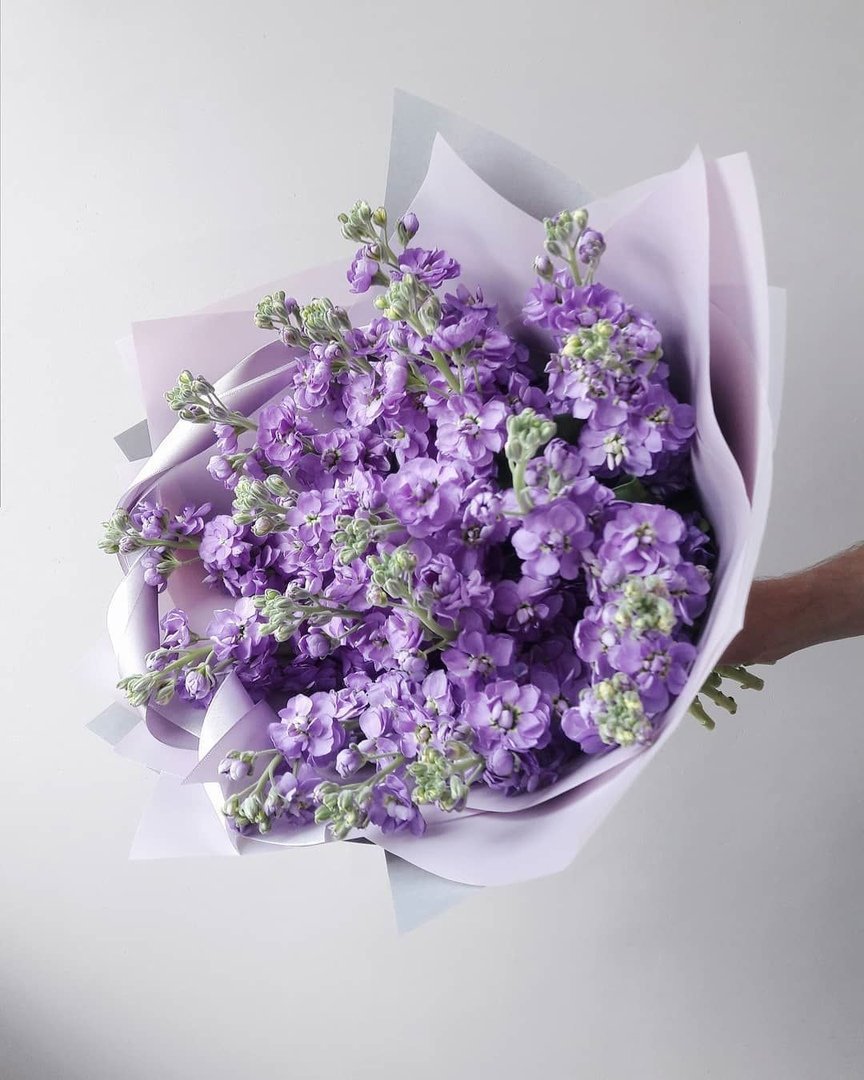 Маттиола Аида Априкот