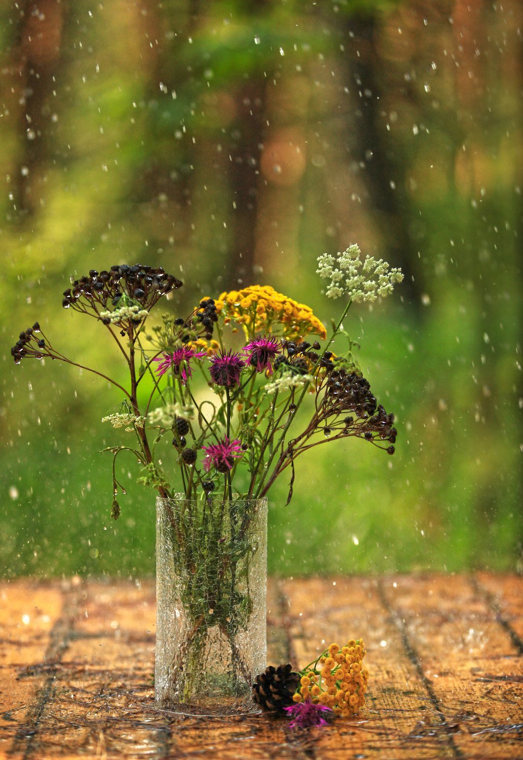 Красивый дождь