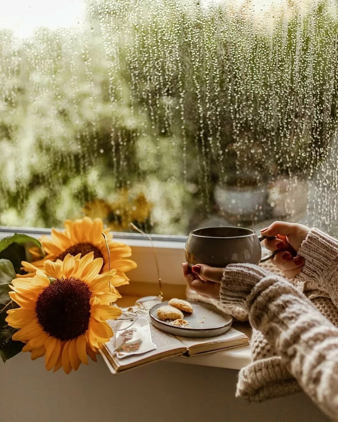 Дождливое утро