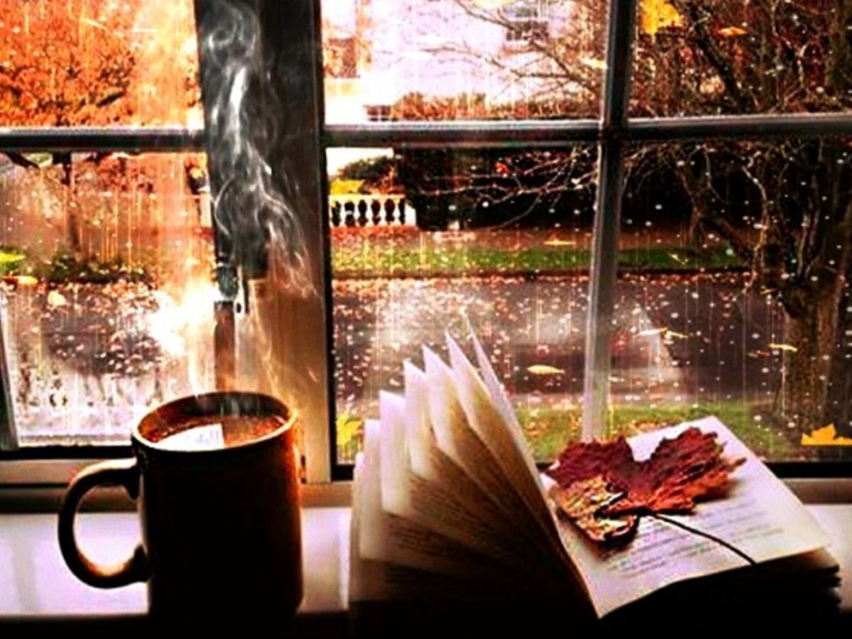 Осенний подоконник