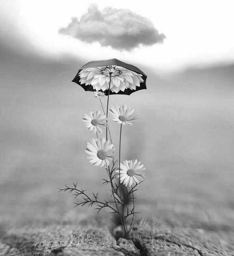 Утро пасмурное но доброе