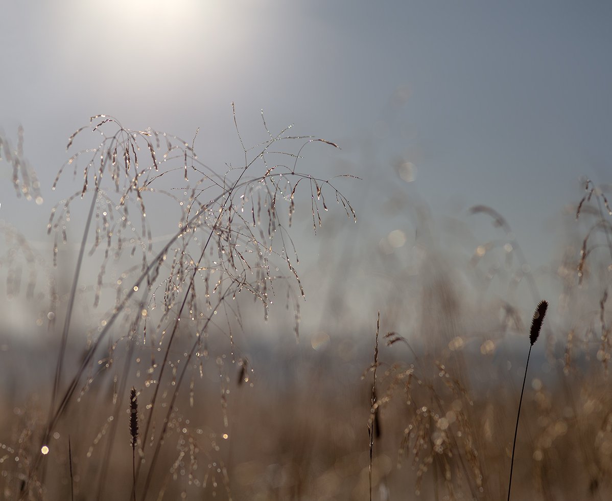 Доброе утро субботы
