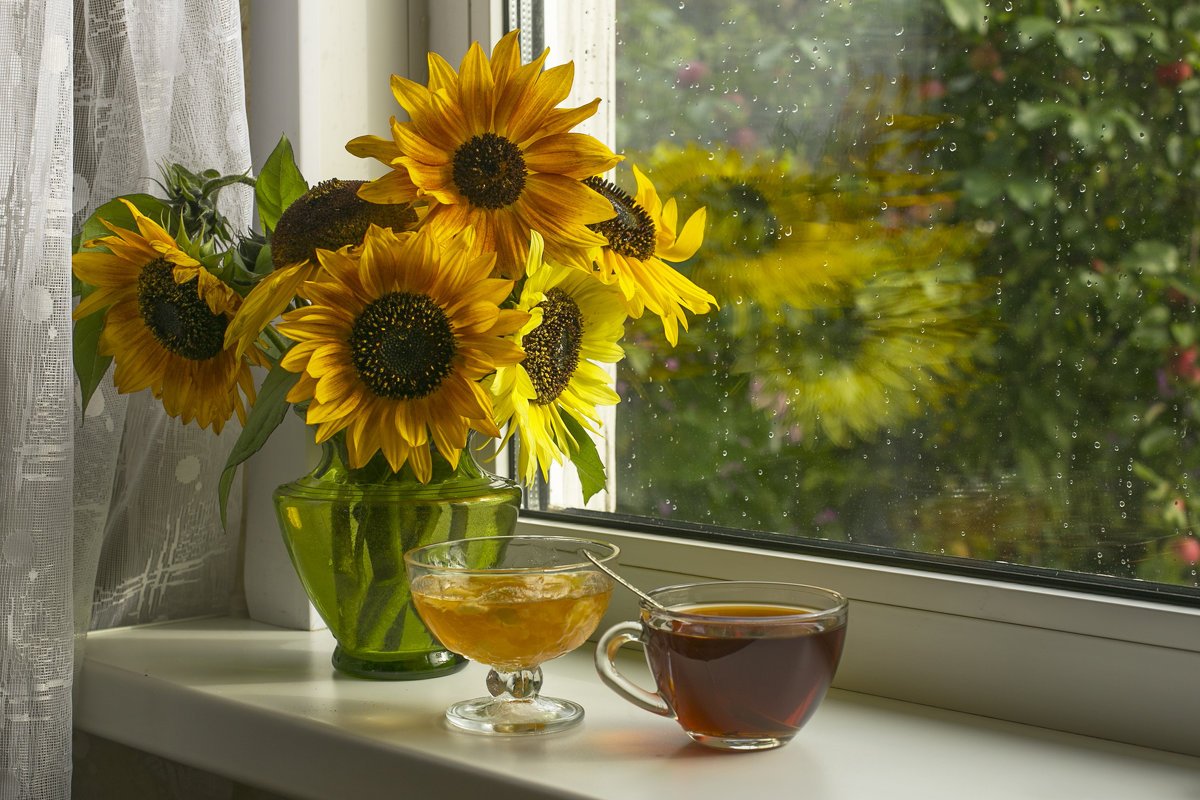 Доброе утро лето пасмурно