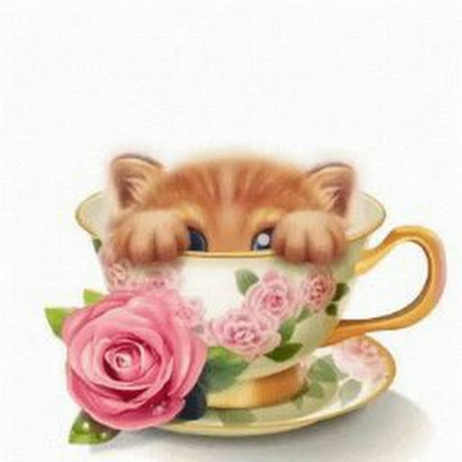 Рыжий котенок в чашке