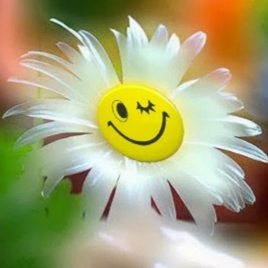 Доброе утро солнышко