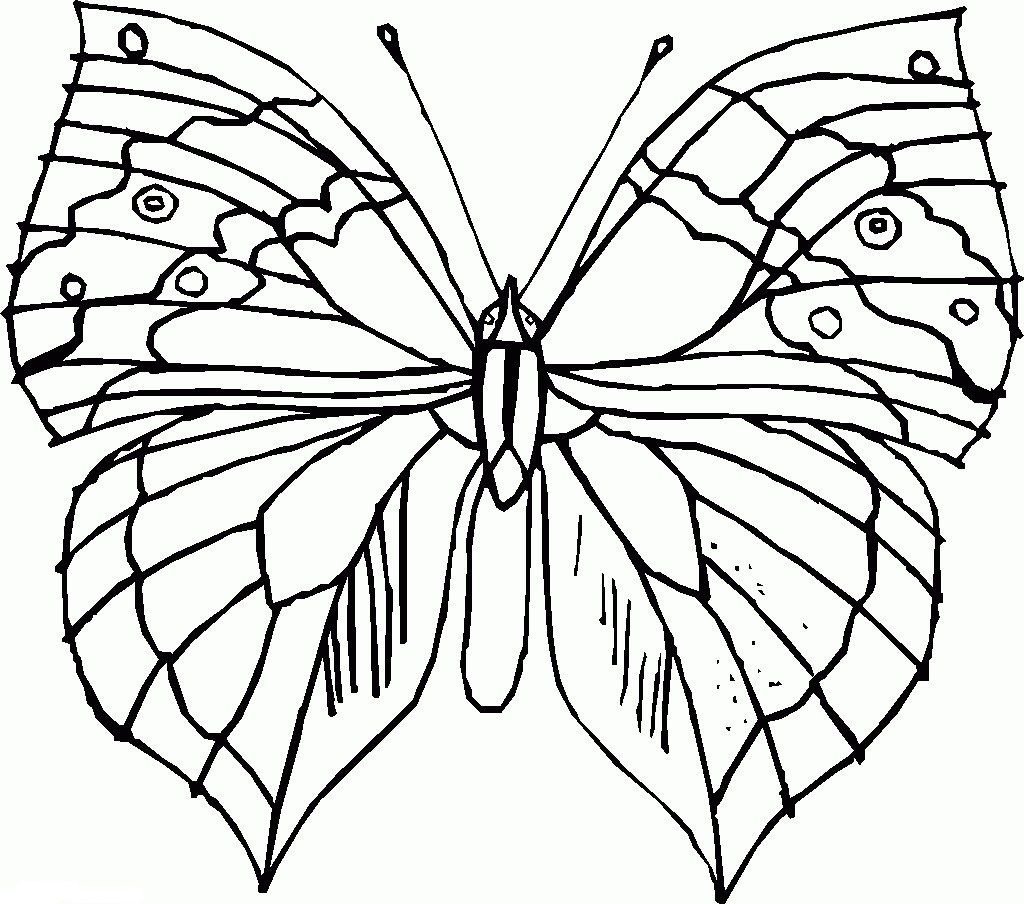 Бабочки для закрашивания