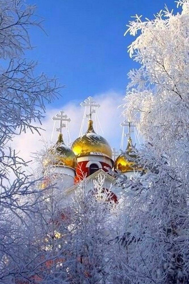 Зимнее чаепитие