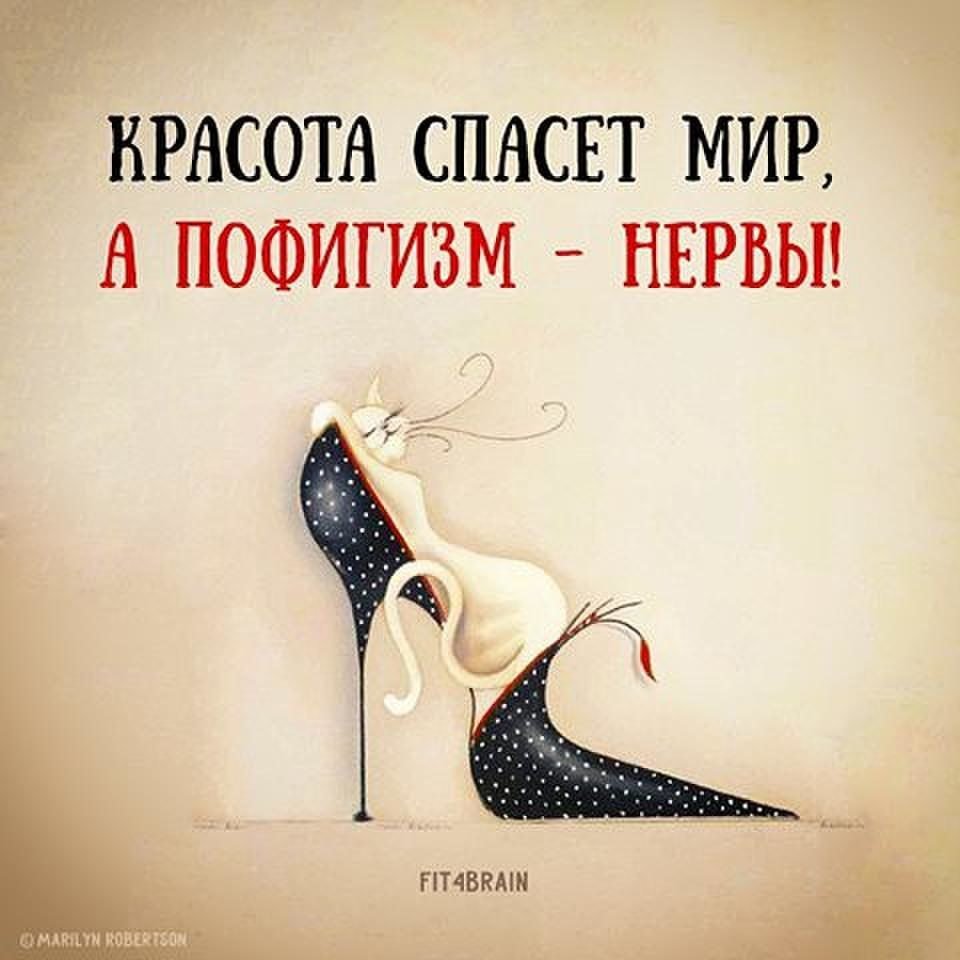 Пофигист картинки