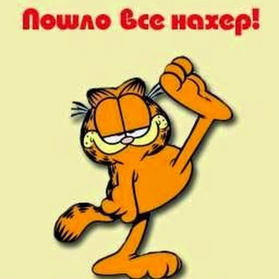 Картинки когда все пофиг