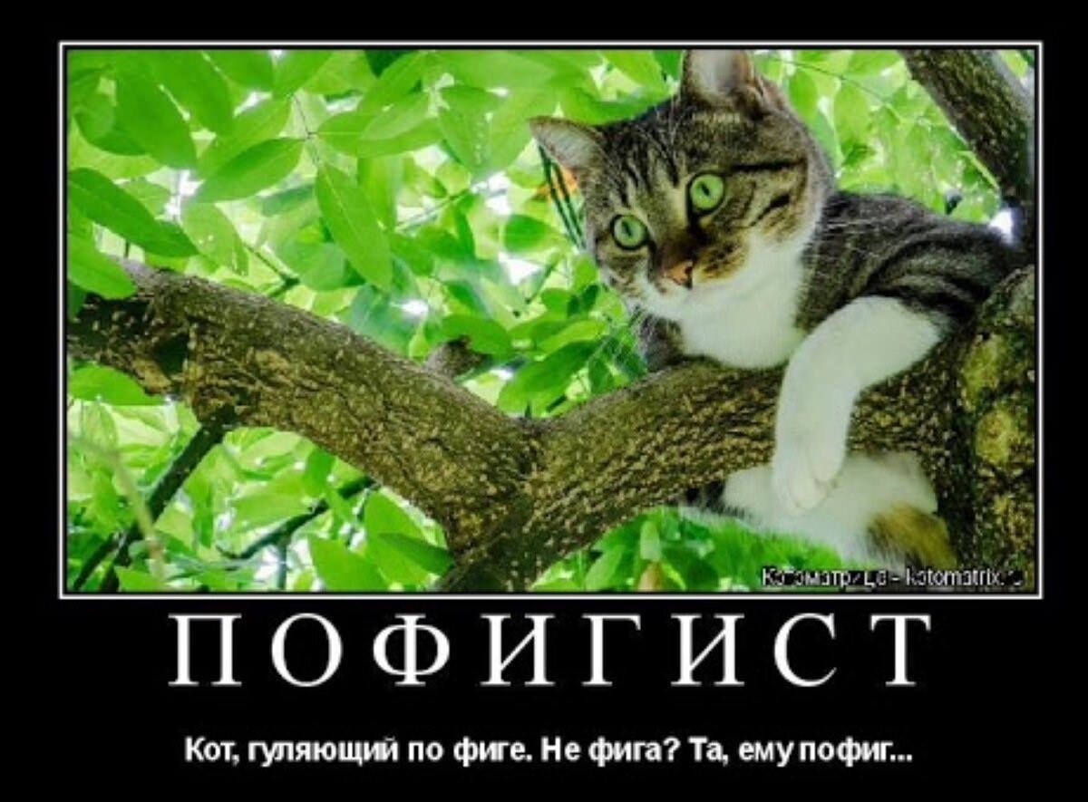 Роберт Дауни Тони Старк