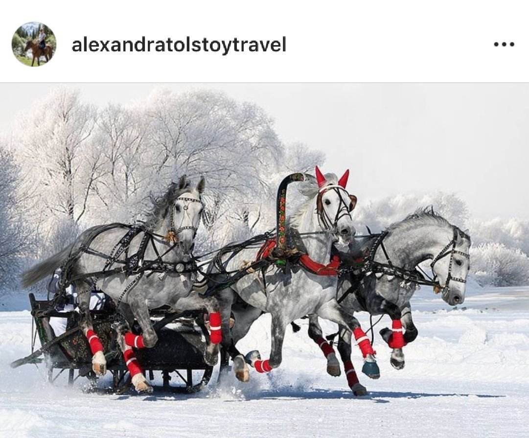 Три белых коня декабрь январь и февраль