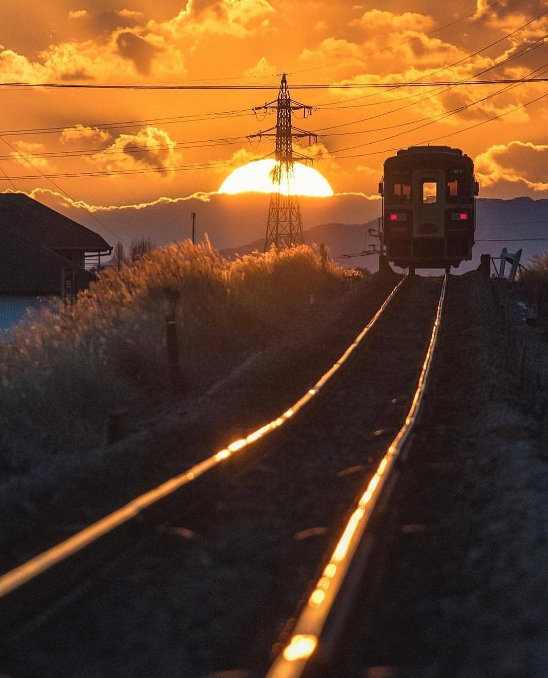 Поезд на закате