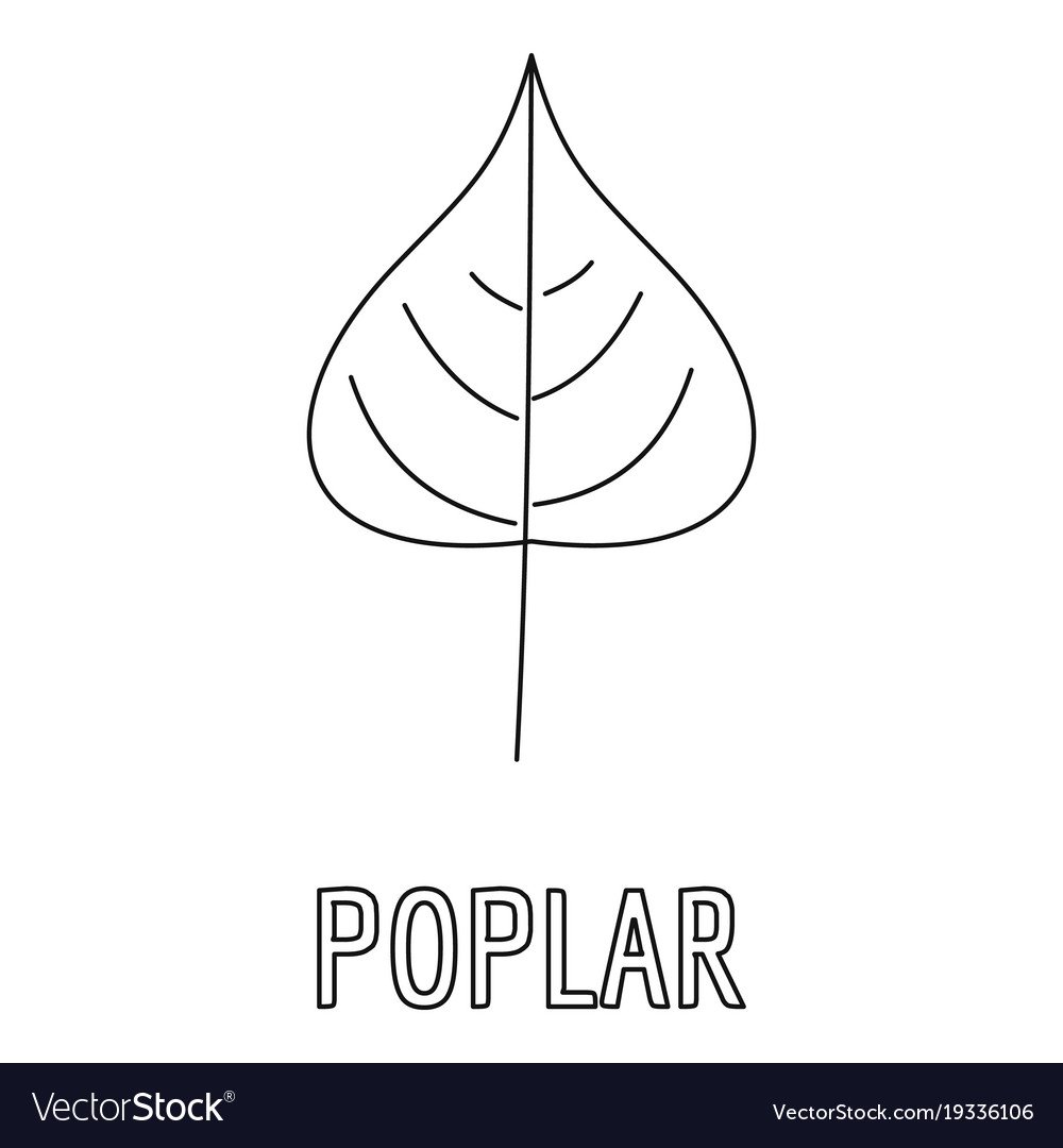 Лист тополя вектор