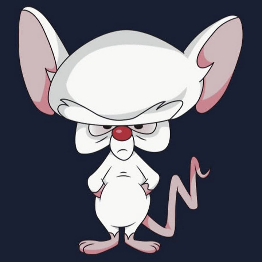 Пинки и Брейн кто это