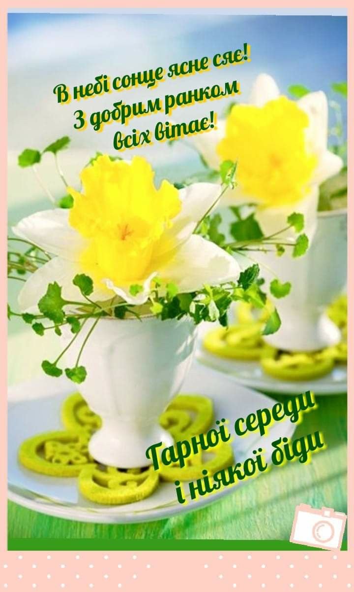 Доброе утро нарциссы