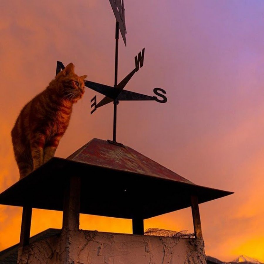 Симбочка пимпочка в раю