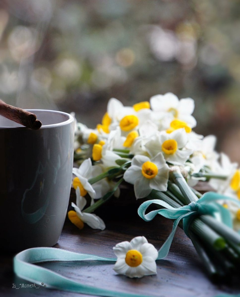 Доброе утро нарциссы