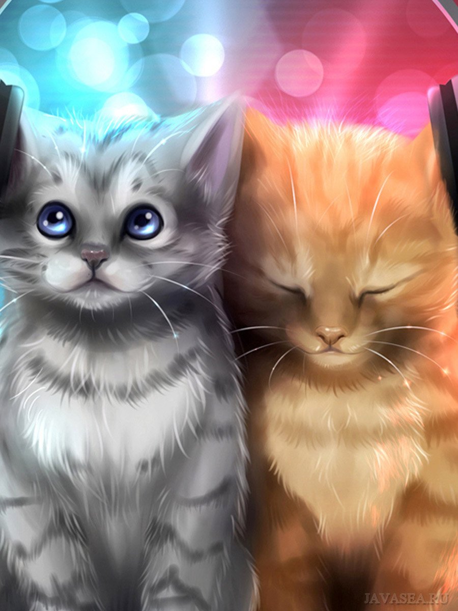 Кот в наушниках арт