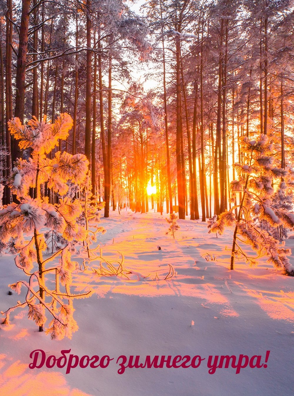 Доброе морозное утро