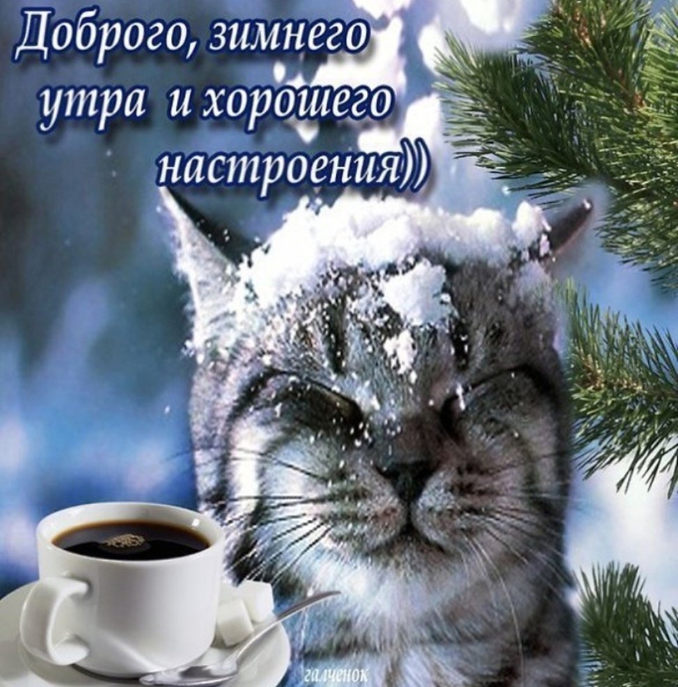 Чашка чая на снегу