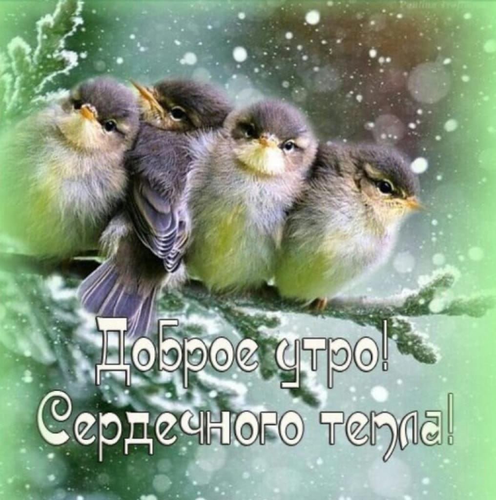 Доброготзимнего денечка