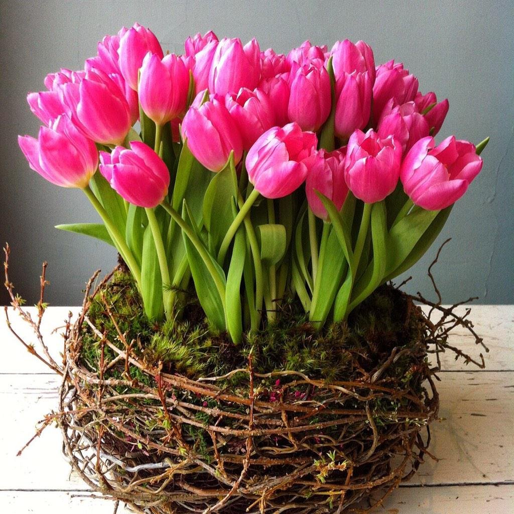 Ландыши Ландыши тюльпаны Ландыши