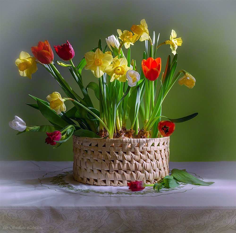 Мудрые пожелания с добрым утром