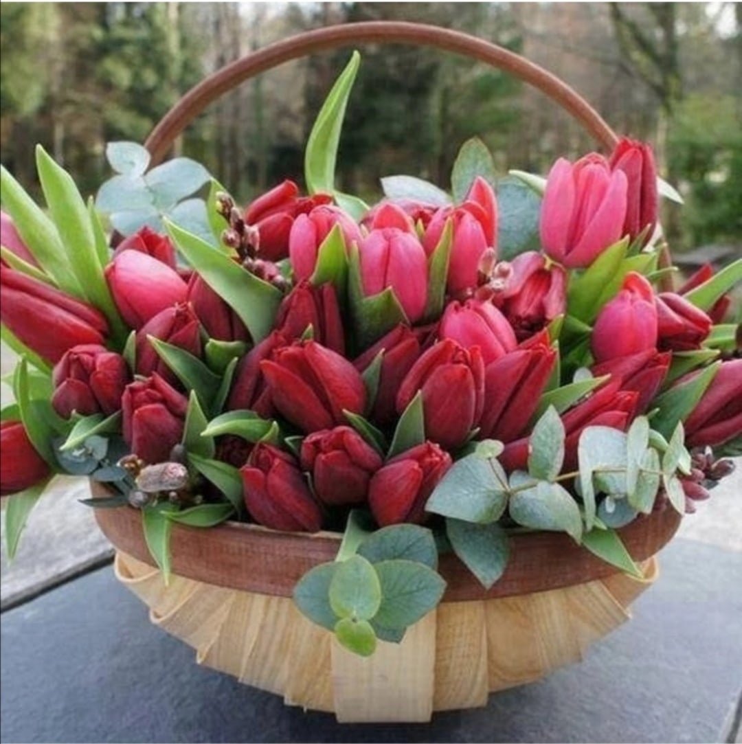 Утренние тюльпаны