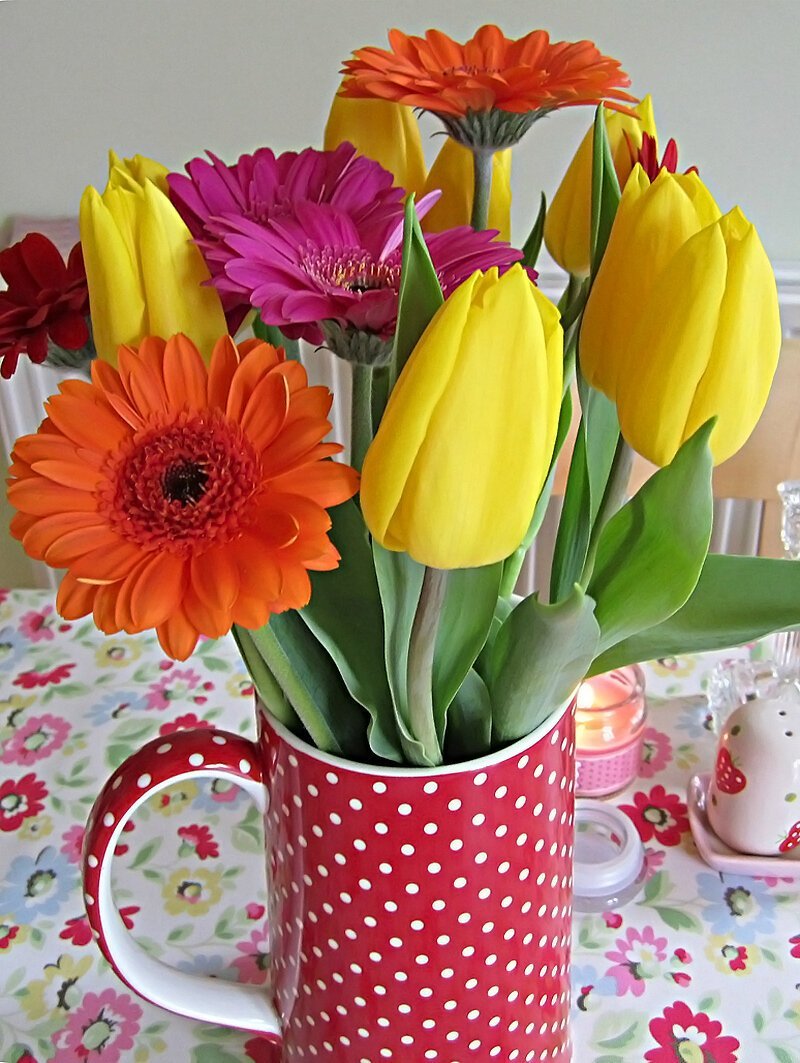 Открытки с желтыми тюльпанами