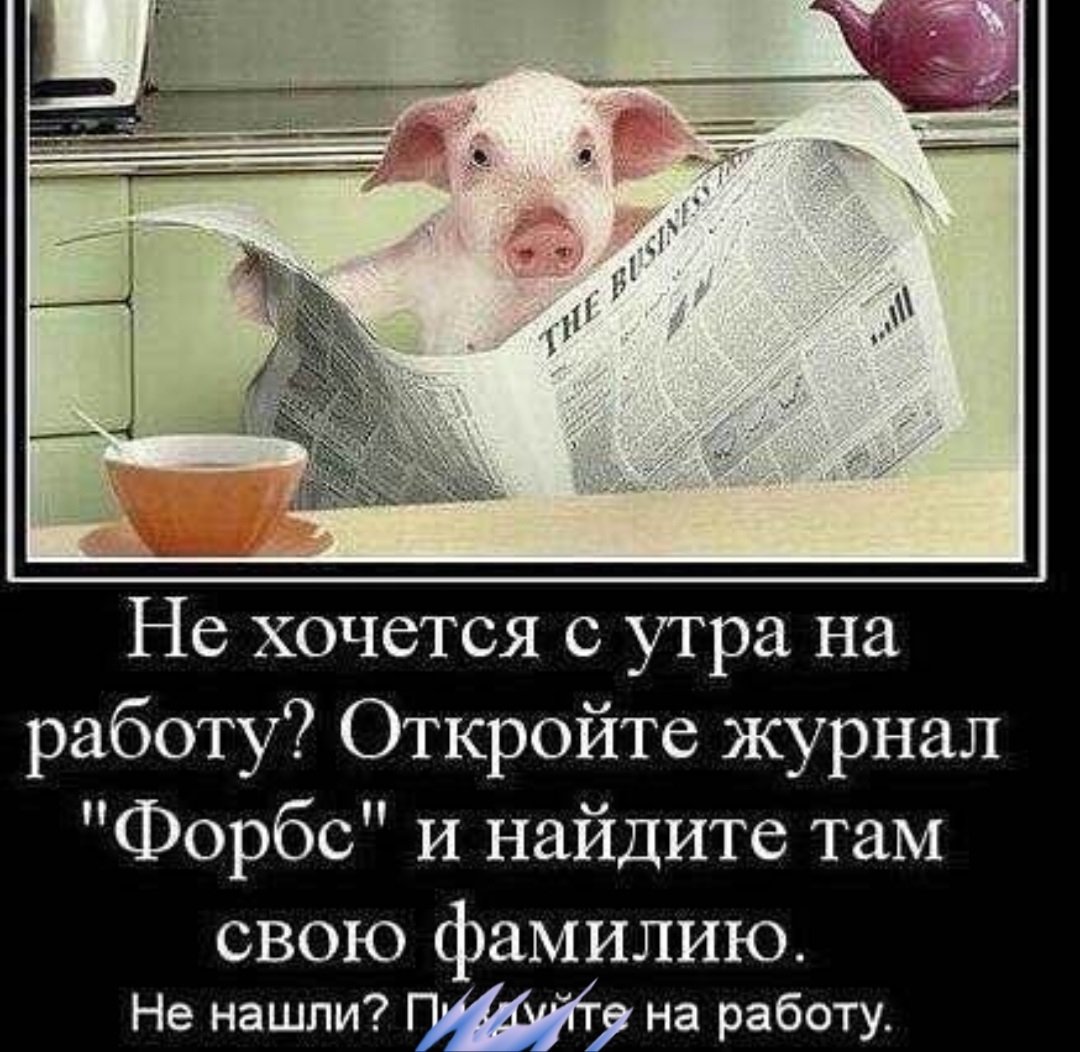 Доброе утро работа