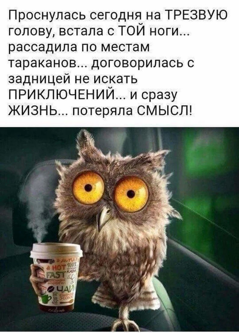 Среда приколы