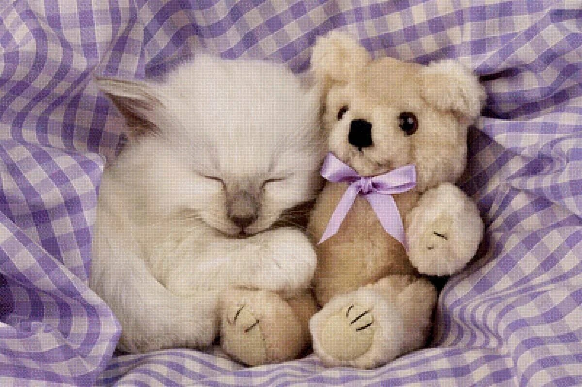 Милая кошка