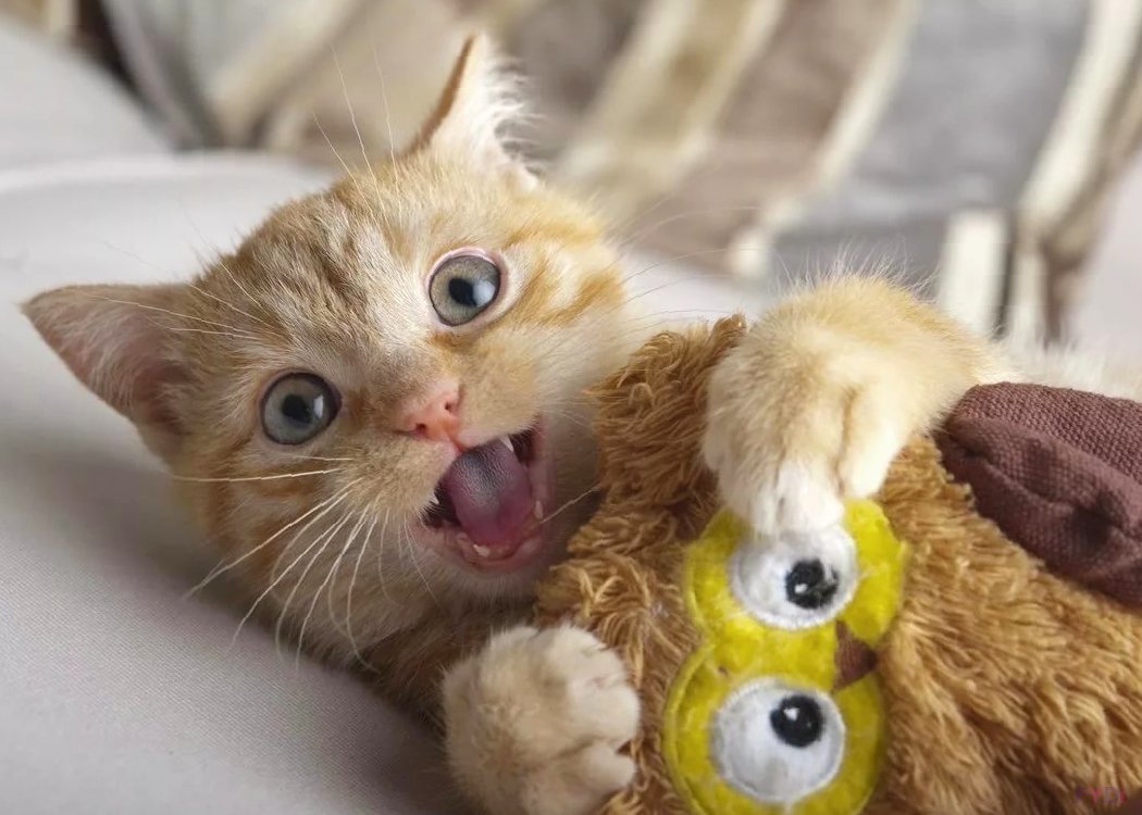 Доброе утро милота