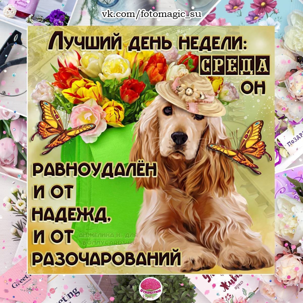 Хорошего дня среды