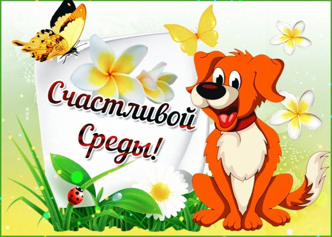 Радостной доброй среды